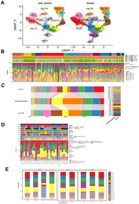 High-resolution subtyping of fibroblasts in gastric cancer reveals diversity among fibroblast subsets and an association between the MFAP5-fibroblast subset and immunotherapy